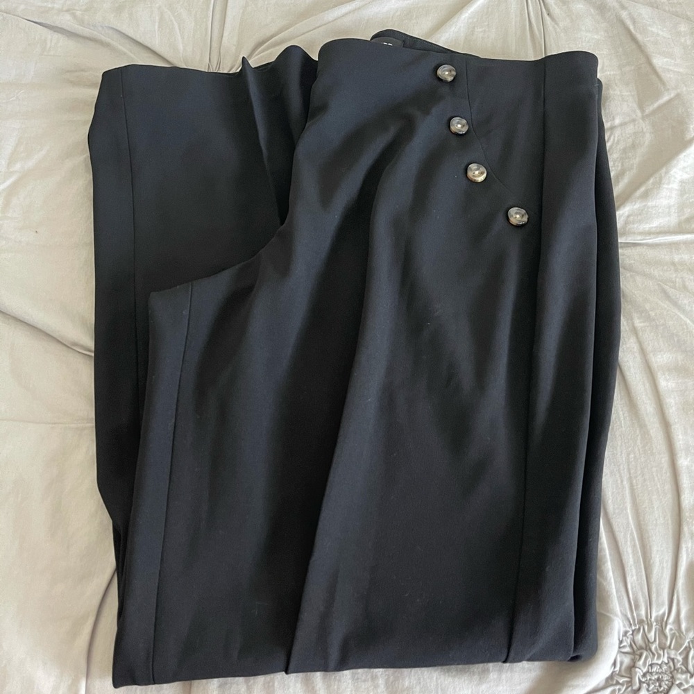 Express Dress Pants